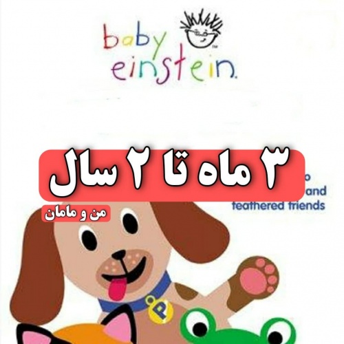 Baby Einstein بی بی انیشتین dvd انگلیسی 28 قسمتی