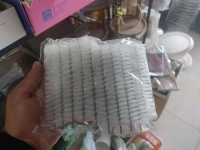 فرچه نپتون