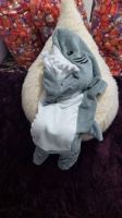 پتو کوسه ای طوسی مناسب برای قد 175 به بالا